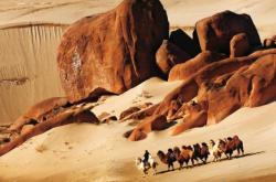 赤峰駱駝租賃公司電話多少號(hào)