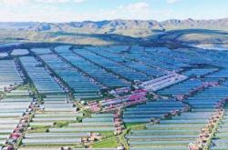 赤峰公主嶺養(yǎng)老院電話號碼