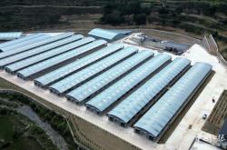 赤峰軍威養(yǎng)牛場(chǎng)地址電話號(hào)碼