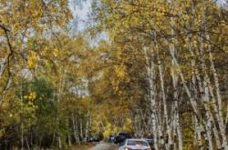 赤峰到烏蘭布統(tǒng)專車電話號碼