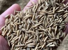 赤峰拾禾谷子店電話地址查詢