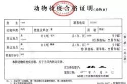 赤峰寵物托運飛機電話號碼