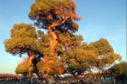 赤峰圣華家具實(shí)體店電話號(hào)碼