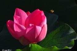 赤峰菲琳攝影店地址電話號碼