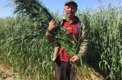 內(nèi)蒙赤峰助農(nóng)電話(huà)號(hào)碼查詢(xún)