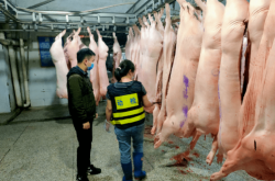 赤峰毛豬屠宰場電話號碼