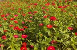 赤峰華園社區(qū)電話號碼是多少