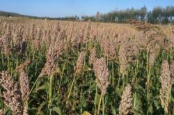 赤峰大小城子拼車電話號(hào)碼