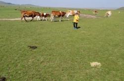 赤峰奧申早教中心電話號(hào)碼