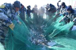 赤峰頭道街漁網(wǎng)專賣電話號碼