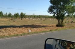 赤峰市敖漢旗順豐快遞電話