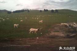 赤峰騎馬團購附近店鋪電話號碼