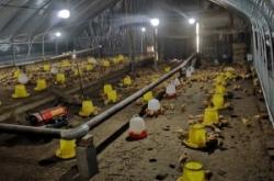 赤峰大棚種植養(yǎng)殖基地電話號碼