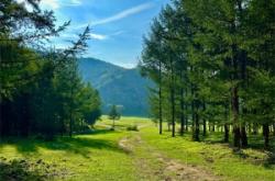 赤峰達(dá)里湖星空酒店電話(huà)號(hào)碼