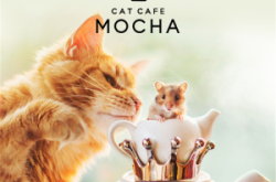 赤峰貓咪咖啡廳地址電話號(hào)碼