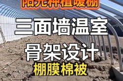 赤峰半坡式大棚廠家電話號碼