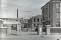 赤峰紅木牛飼料廠電話號(hào)碼