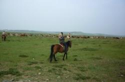 赤峰到沽源公交車電話號碼是多少