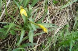 赤峰綠色干洗店加盟電話號(hào)碼