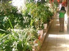 赤峰學(xué)生餐廳電話多少號碼