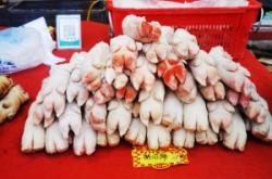 赤峰水母擺攤電話多少號(hào)碼