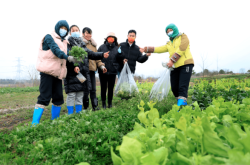 赤峰蔬菜代銷公司電話多少號(hào)