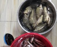 赤峰鑫晟釣具電話多少號