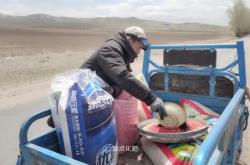 赤峰東子玉米出售電話地址查詢