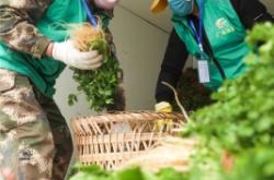 赤峰收滴灌帶收購(gòu)點(diǎn)電話地址