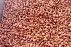 赤峰賣野蘑菇的地方電話號(hào)碼