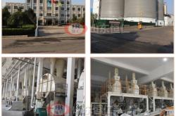 赤峰玉米胚芽粕廠家電話號碼