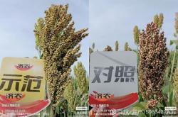 赤峰薈祥農(nóng)資電話號(hào)碼查詢