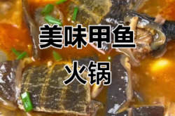 赤峰甲魚火鍋店地址電話號碼