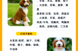 赤峰求購巨貴狗狗電話號(hào)碼