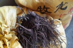 赤峰收鮮貨防風(fēng)電話號(hào)碼查詢