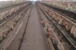 內(nèi)蒙古赤峰市養(yǎng)殖場