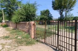 赤峰出售肉狗電話號(hào)碼是多少