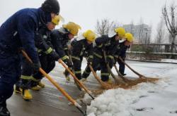 赤峰附近收鵝毛收購商電話號碼