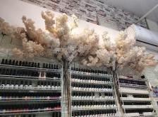 赤峰指甲塑形修復(fù)店電話號碼