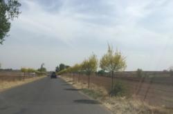 赤峰皓影車隊電話號碼查詢