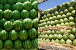 內(nèi)蒙赤峰屠宰廠電話多少號