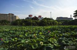 赤峰荷塘盛宴訂餐電話