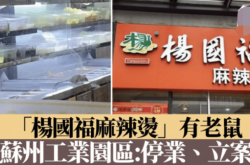 赤峰楊國(guó)福麻辣燙分布圖