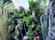 赤峰水陸缸景觀定制電話號(hào)碼