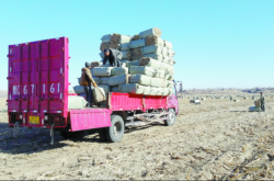 赤峰飼料批發(fā)零售電話號(hào)碼