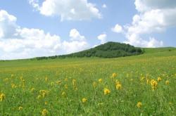 赤峰途遠(yuǎn)汽修廠電話號(hào)碼