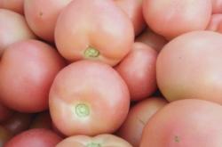 赤峰林西果園電話多少號