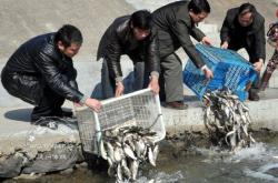 赤峰大棚送春聯(lián)電話號(hào)碼查詢