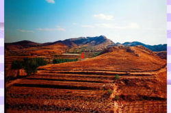 赤峰博物館南管館地址電話號(hào)碼