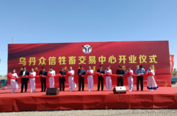 赤峰烏丹中介電話號(hào)碼多少